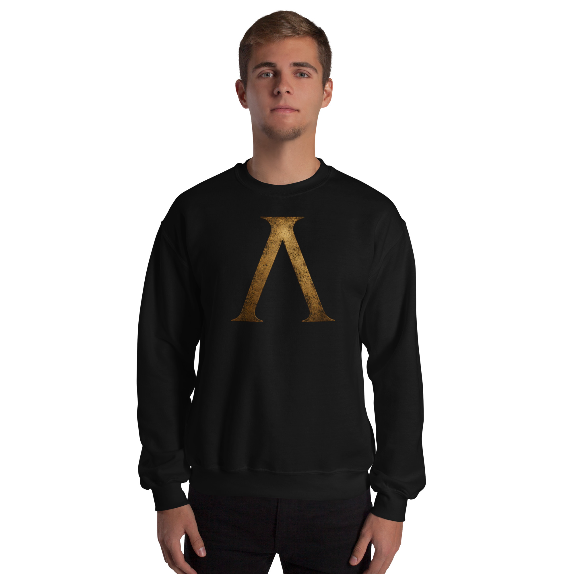Sudadera Λ (Lambda) – Espíritu de Esparta | Historiapasión - Imagen 5